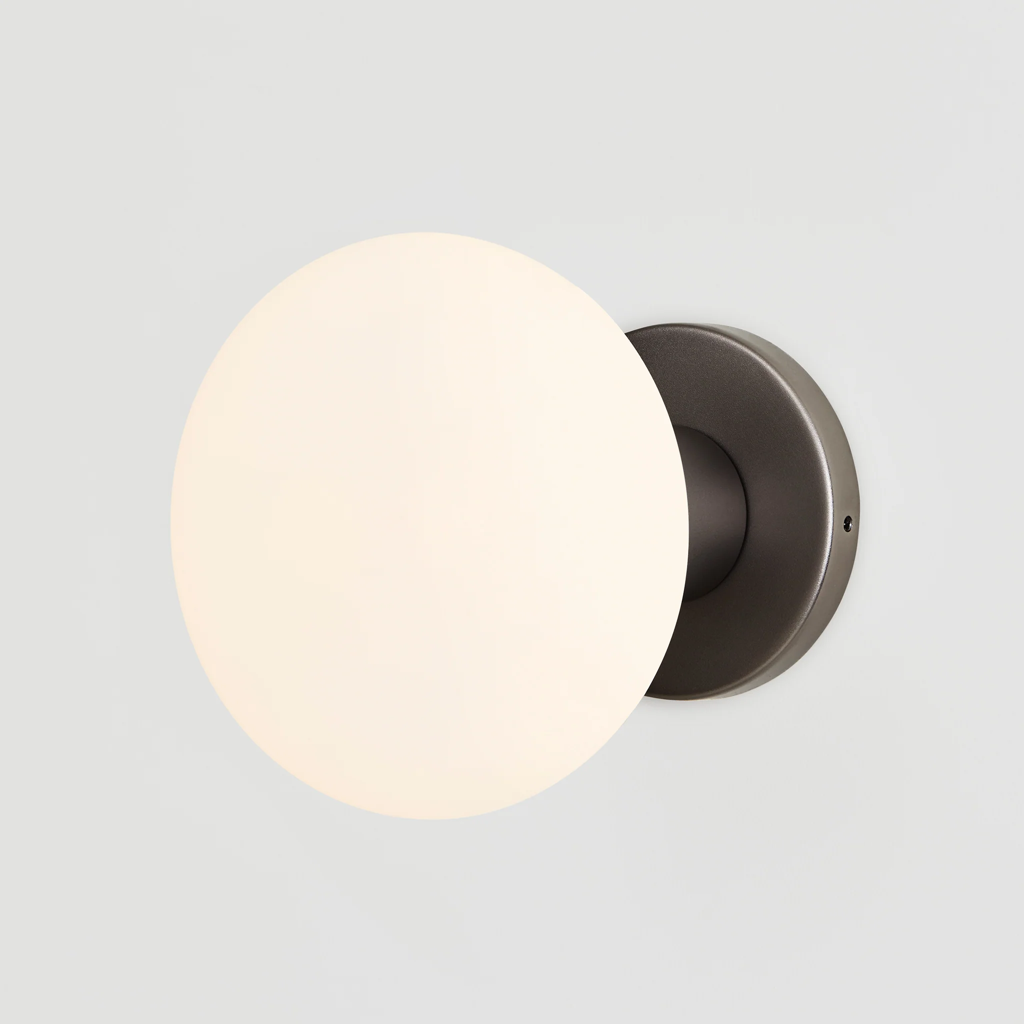 Lochan Wall Light in Graphite + Oval D2W - Image 4