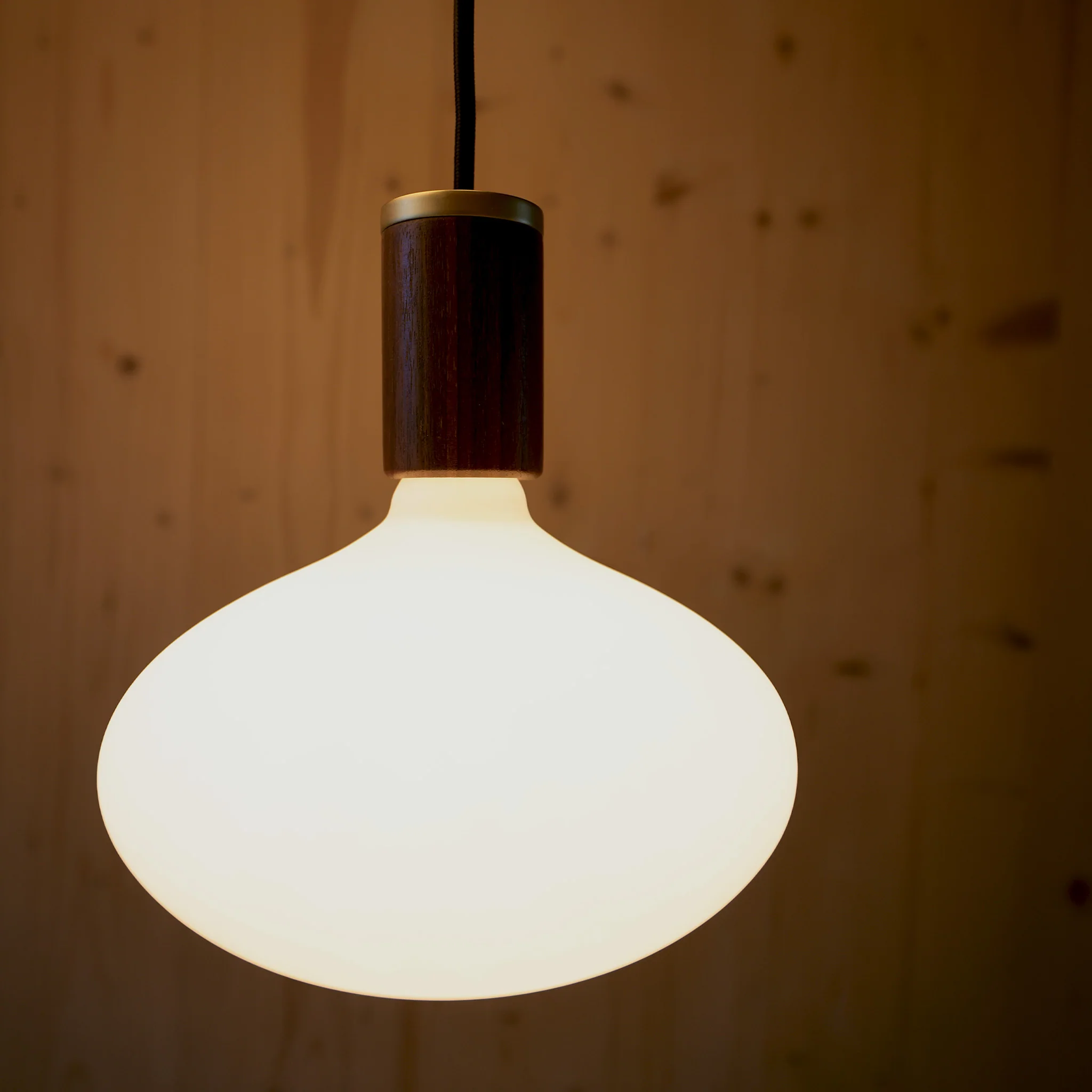Oval II E27 Dim-to-Warm LED Bulb - Image 7